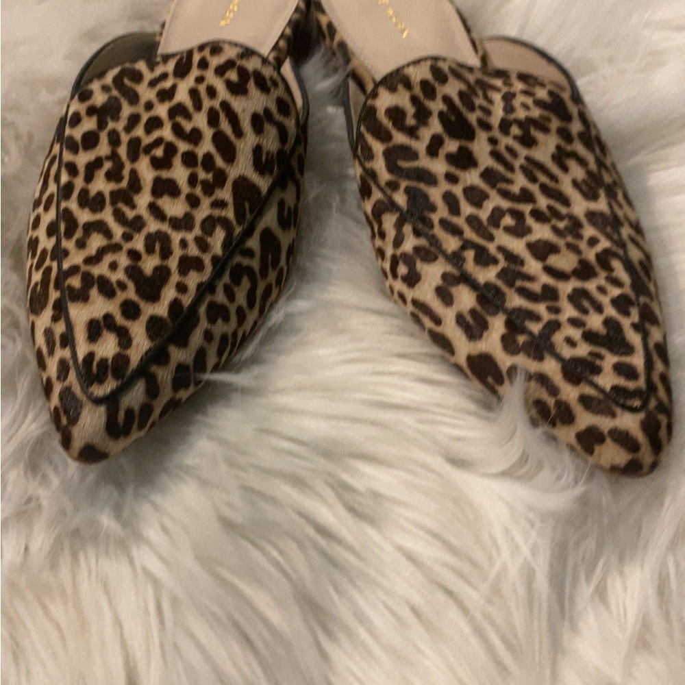 Cole Haan Brown and Black Mules with Sleek Pointed Toe